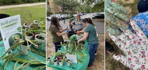 Students planting plants and working at Earth Day 2023.